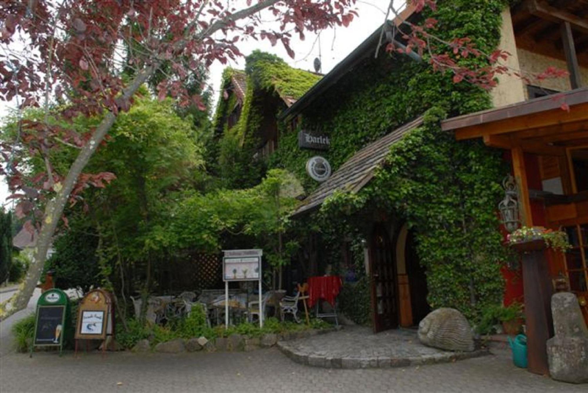 Alte Schreinerei-Auberge Harlekin Randegg Exterior photo